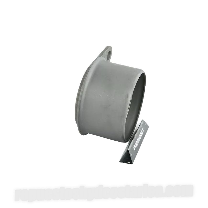 Repuestos Byd F18 Costa Rica - Polea Tensora Correa Distribucion